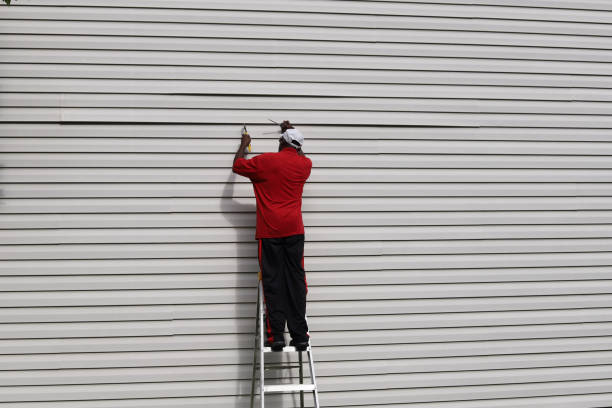 Best Steel Siding Installation  in Wilsons Mills, NC