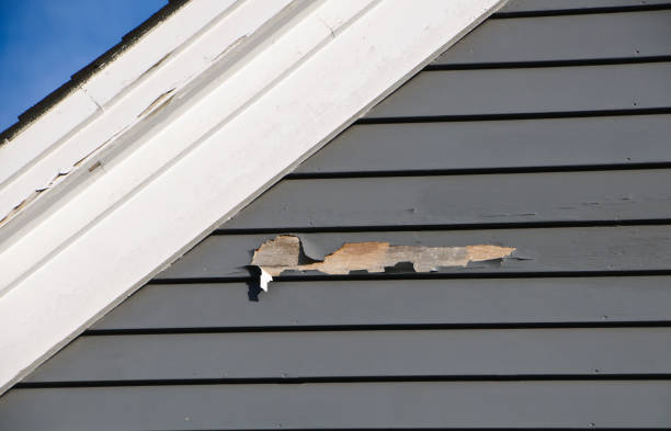 Best Steel Siding Installation  in Wilsons Mills, NC