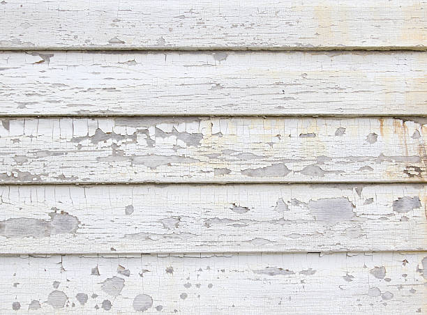 Best James Hardie Siding  in Wilsons Mills, NC